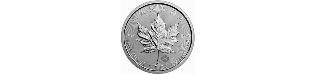 Silver Maples